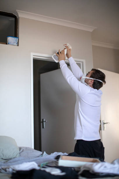 Mold Remediation for Rental Properties in West Liberty, KY